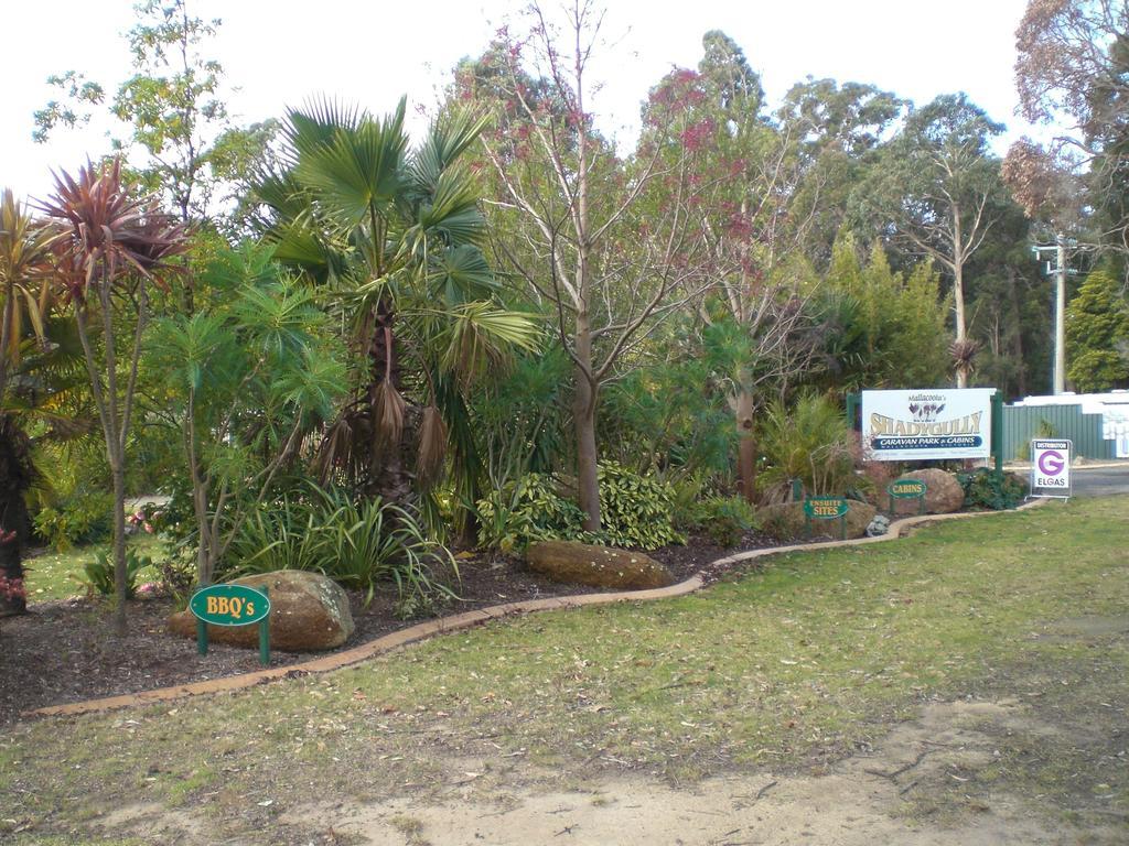 Mallacoota'S Shady Gully Caravan Park Bagian luar foto