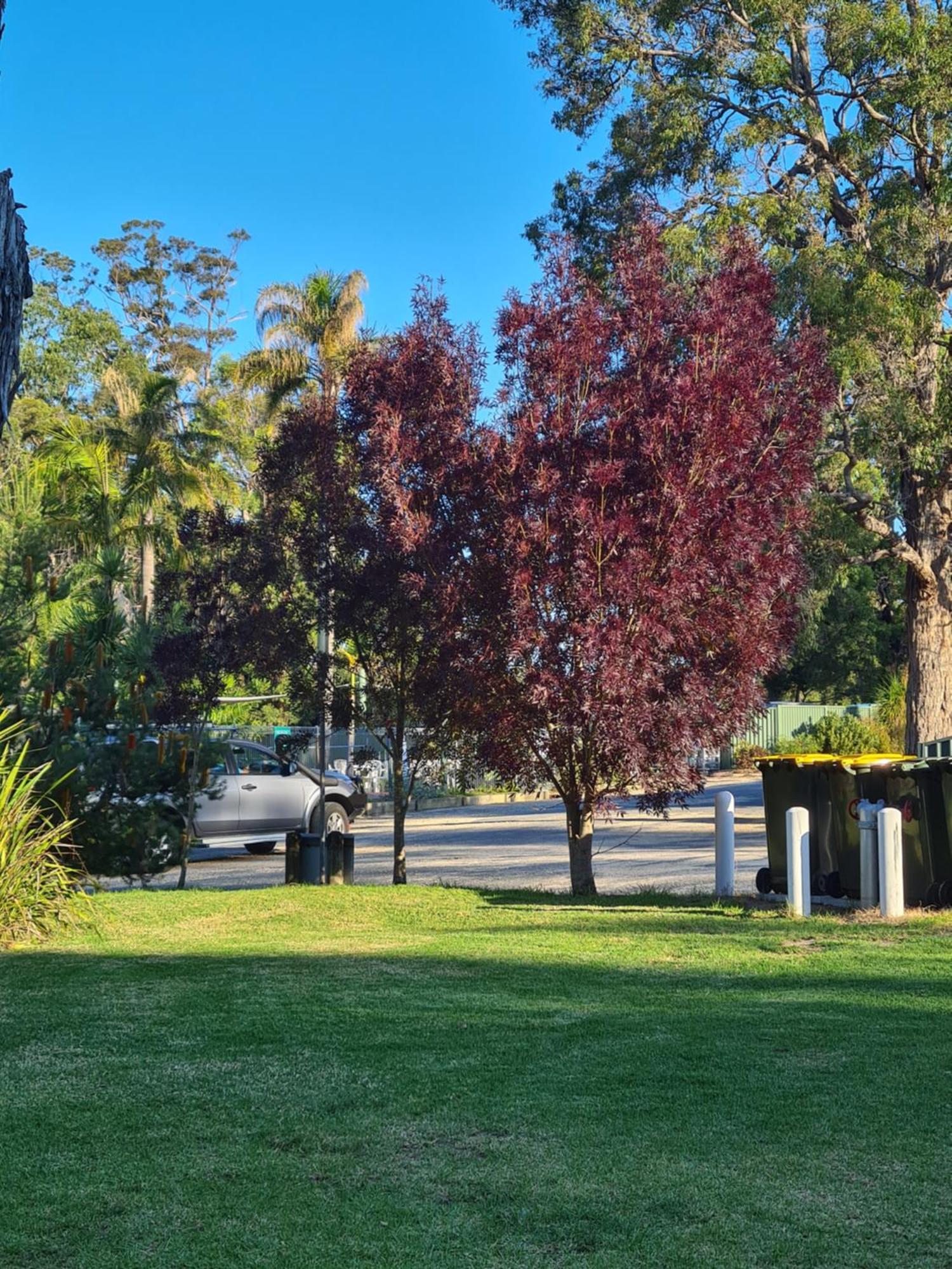 Mallacoota'S Shady Gully Caravan Park Bagian luar foto