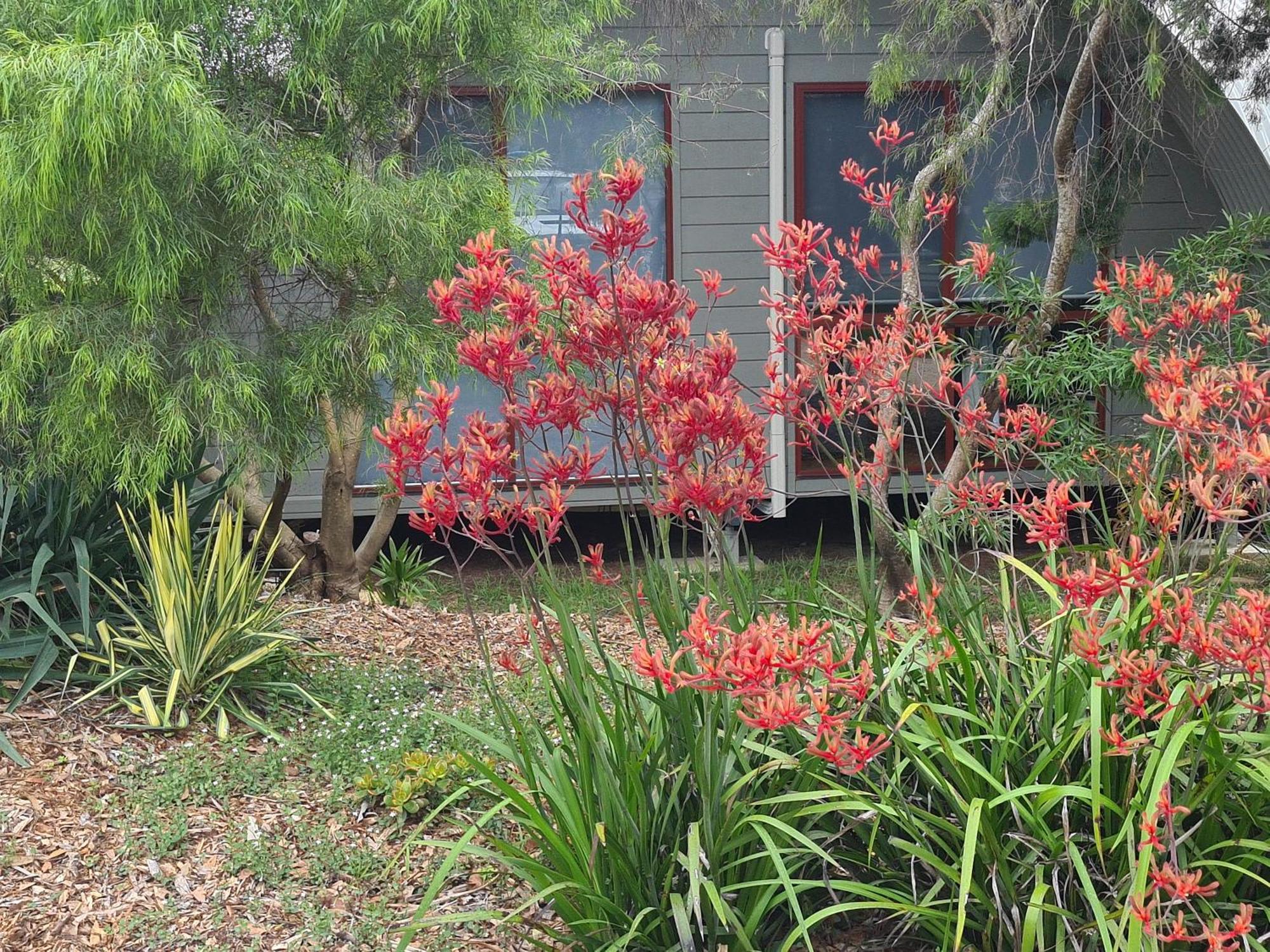 Mallacoota'S Shady Gully Caravan Park Bagian luar foto